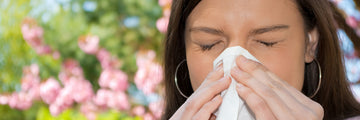 Understanding Your Outdoor and Indoor Allergies
