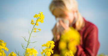 A Natural Solution to Spring Allergies