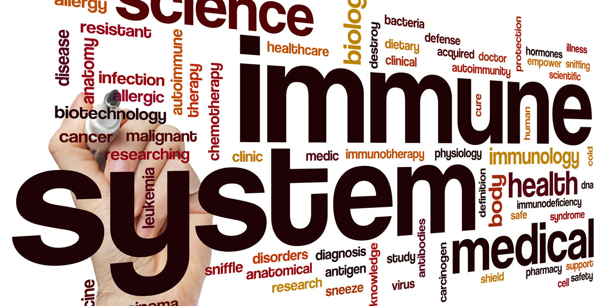 Stress and Your Immune System