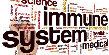 Stress and Your Immune System