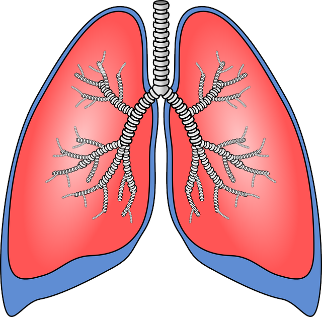 Relieving Your Asthmatic Symptoms with Supplements