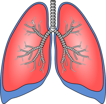 Relieving Your Asthmatic Symptoms with Supplements