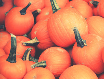 Pumpkin Spice Everything: Why Pumpkin Has Won Over Hearts